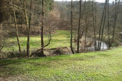 bild-10
