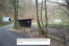 bild-20